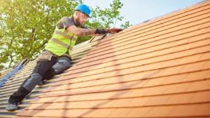 Best Roof Moss and Algae Removal  in Brookhaven, PA